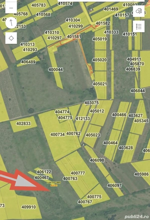 Vând vie Dealul Silagiului