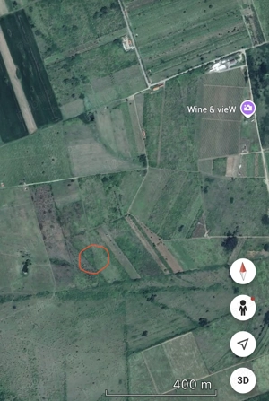 Vând vie Dealul Silagiului - imagine 3