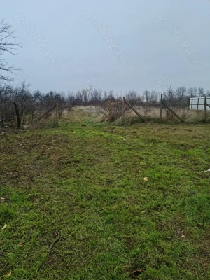 Vand casa si teren intravilan aferent Bizigheti - Vrancea - imagine 4