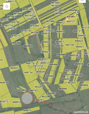 Vând vie Dealul Silagiului - imagine 2