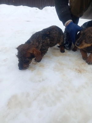 schimb cu diverse - imagine 3