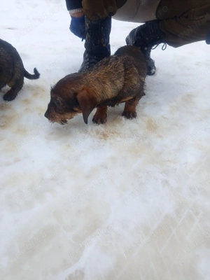 schimb cu diverse - imagine 2