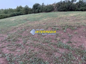 Teren intravilan de vanzare 2000 mp in Sard  - imagine 3