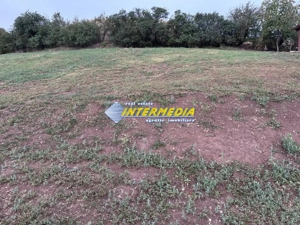 Teren intravilan de vanzare 2000 mp in Sard  - imagine 4