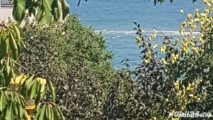 Închiriere apartament etaj 1 Faleză Nord - imagine 5