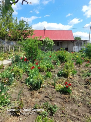 Casa de vanzare - imagine 3