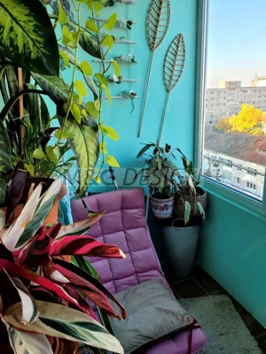 1 camera zona Circumvalatiunii