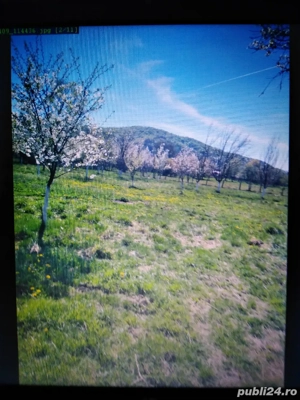 Vânzare teren intravilan - imagine 7