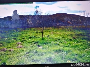 Vânzare teren intravilan - imagine 3
