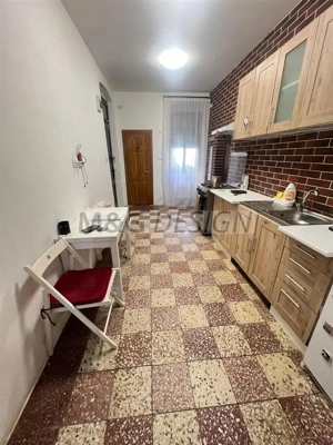 Apartament Balcescu Centrala proprie pretabil SAD - imagine 11