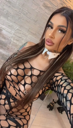 show web facem si împreuna  - imagine 2