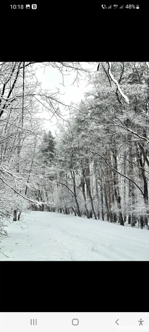 Teren arabil si faneata - imagine 5