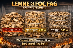 lemn de foc Fag