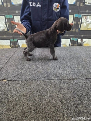 brac german sarmos - imagine 5