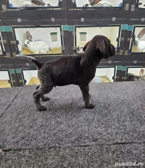 brac german sarmos - imagine 3