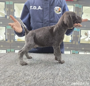 brac german sarmos - imagine 2