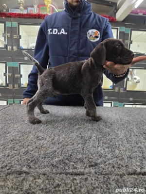 brac german sarmos - imagine 4