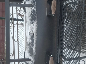 GRATAR + AFUMATOARE cu 2 etaje + sobita pe tru ceaun