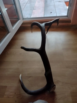 vand   CORN - imagine 2