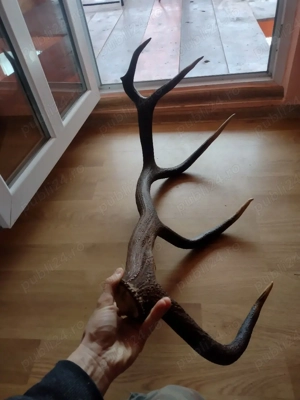 vand   CORN - imagine 3