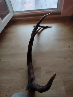 vand   CORN       - imagine 3