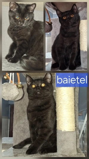 British scotish - imagine 3