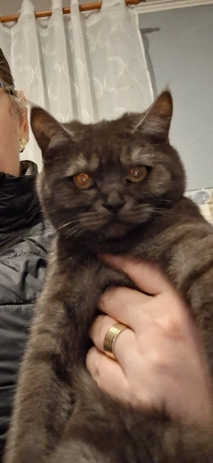 British scotish - imagine 5