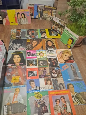 Discuri Vinil 