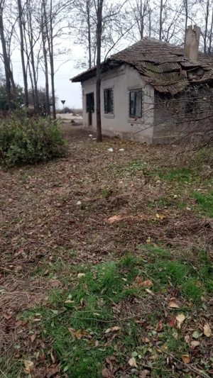 casa vanzare Com Ciocănești Călărași 