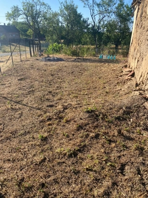 Casă de vânzare la 4km de ștrandul termal tășnad în localitatea Silvaș - imagine 6