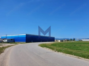 [ 2,6 HA ] Randament bun I Locație strategică I Autostradă - imagine 3