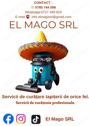 Servicii de curățare profesională mochetă