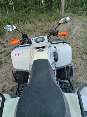 ATV Adly Online 4x4 - imagine 5