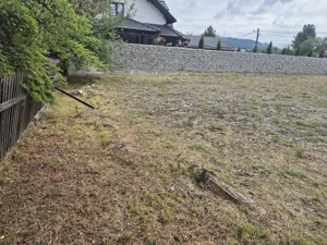 casa batraneasca cu teren 550 mp - imagine 3