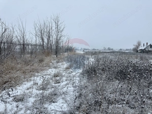 Teren 7,200mp Bodestii de Jos / Strada Bodesti - imagine 4