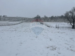 Teren 8,300mp Negresti (Dobreni) / Drumul DEALUL OTEL - imagine 2