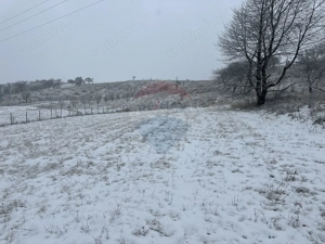 Teren 8,300mp Negresti (Dobreni) / Drumul DEALUL OTEL - imagine 4