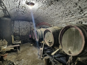 Casă săsească 3 camere si 1400 mp teren in Brateiu - jud. Sibiu - imagine 19