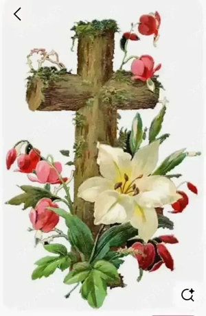 Vând loc de veci în Iași.