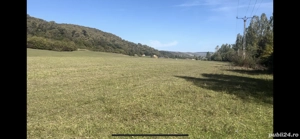 Vând pământ extravilan 7500m2 în apropierea Oltului  - imagine 3