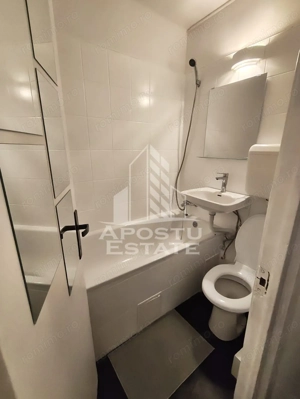 Apartament cu o camera, AC, pet friendly, zona Lipovei - imagine 7