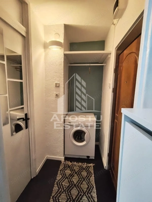 Apartament cu o camera, AC, pet friendly, zona Lipovei - imagine 6