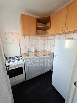 Apartament cu o camera, AC, pet friendly, zona Lipovei - imagine 5
