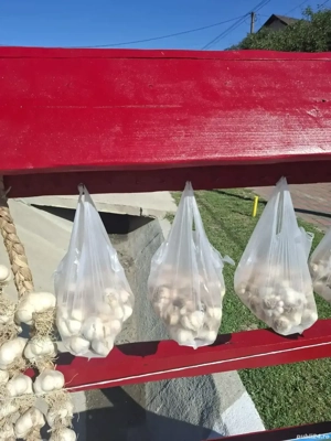 Usturoi castraveți murați de vînzare tel.  - imagine 2