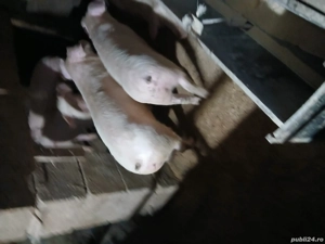 De vanzare soldai  - imagine 2