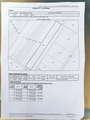 Teren 20.000mp 1 Decembrie  - imagine 4