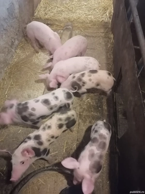 De vanzare  - imagine 2