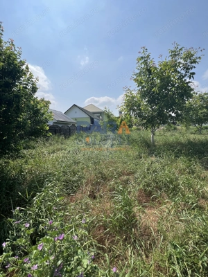 5200 mp intravilan - Str Viitorului (zona Abator) - imagine 4