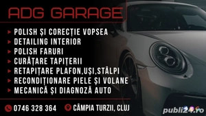  Polish  Detailing  Faruri  Retapițare  Diagnoza
