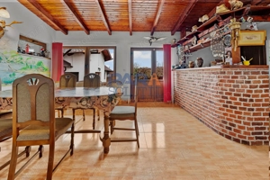 Vilă cu 6 dormitoare, 2 garaje, anexe multiple - 2076 mp teren - imagine 7